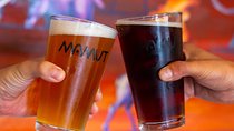 Mexican Craft Beer Tour from San Diego