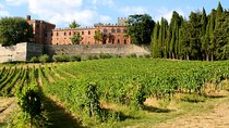 Livorno Port ShorExcursion: Siena San Gimignano Lunch&WineTasting