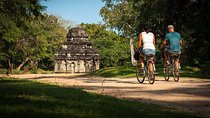 Polonnaruwa Day Tour with Lunch by Mahaweli