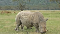  2 Days Lake Nakuru N/P