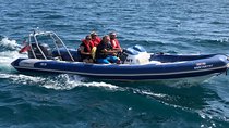 Private Coastal Powerboat Tour