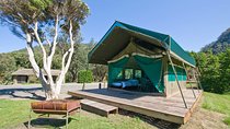 8 Days Tanzania Lodge Safari | Semi Luxury .