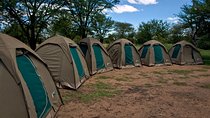 4 days Budget Camping Safari Tour 