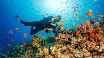 Marmaris Scuba Diving in crystal clear waters