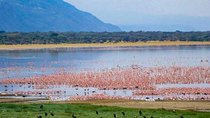 6 days Budget Camping Safari Tour Tanzania