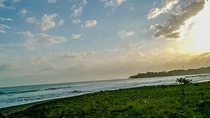 Private Transfer from San Jose to Puerto Viejo, Talamanca, Limon