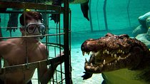 Cape Town - Garden Route: Outdoor Adventure Tour - 5 Days