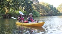 Wildlife and Mangrove Kayaking Tour Río Ora