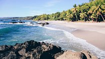 Samara to from Montezuma Private Shuttle (1-6 px)
