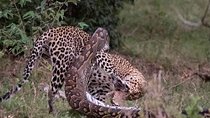 3 Days to Maasai Mara N/R.
