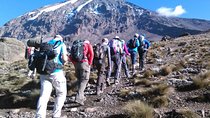 8 Days Mount Kilimanjaro Lemosho Route Climb