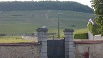 Private Grand & Premier Cru Chardonnay Champagne Vineyard Tour