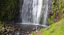 Materuni & Chemka Hotspring Day Trip