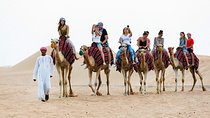 Bahariya Oasis 3 Days From Cairo