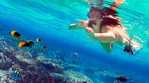 Saona Island VIP and Mano Juan Tour, All Inclusive from Punta Cana