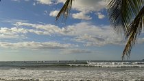 One way Transfer from San José or SJO Airport to Ocotal Beach up to 5 passengers