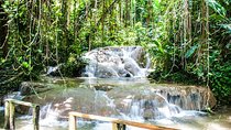 Turtle River Falls and Gardens Private Tour 