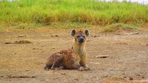 2 Days Safaris to Mount Kenya Fairmont Safari Club
