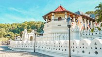 Kandy City Tour (All-Inclusive) 