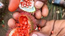 Spice Tour, Blue Lagoon, Starfish Tour, Rock Restaurant, Kuza Cave, Paje Beach