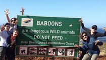 Cape of Good Hope and Cape Winelands Day Tour from Cape Town