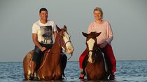 Horse Riding 3 Hours Discovery Sea & Desert & Transfer -Hurghada