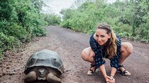 2 Days - Isabela Island Fast Visit