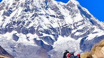Khopra Ridge Community- 13 DAYS