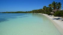 Magic Tour Island Contoy from Cancun & Riviera Maya 