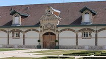 Champagne Ruinart & Grand Cru Blanc de Blancs Vineyard Tour