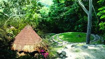 Taironaka and Don Diego river - Private Tour