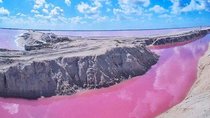 Private Tour: Ek Balam, Pink Flamingos Sanctuary and Tequila Tasting Factory