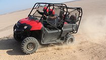 buggy Car Safari Tour & Camel Ride With Transfer - Marsa Alam