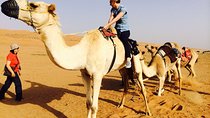Ost-10 Coast to Desert Tour (03 Nts & 04 Days)