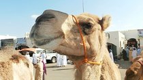 A Taste of Oman 4 Nights/ 5 Days/