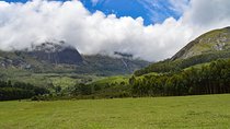 Full-Day Private Tour to Munnar from Kochi with Lunch
