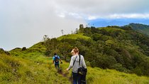 6 Days Tour Visit Munnar Hills, Alleppey Houseboat, Kovalam Beach