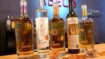 Abel's Palinca&Tuica Tasting
