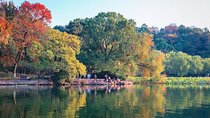 Hangzhou Highlights Muslim Day Trip: West Lake, Phoenix Mosque & Qinghefang 
