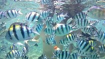 Lombok Tour Package, 4 Days 3 Nights