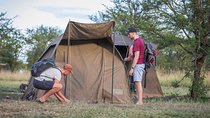 4 Days safari Tour Tanzania 