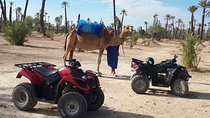 Marrakech Camel ride & Quad Bike experience in the oasis Palmeraie 