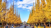 Japanese Garden & Western Architecture: Akasaka exploration tour