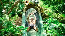 Xenses, Amazing Park! Round Transportation From Cancun & Riviera Maya