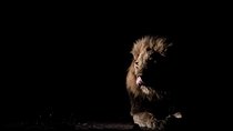 Joining Tanzania Safaris groups
