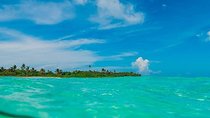 Deep into Nature at Sian Ka'an Biosphere! Round Transportation From Riviera Maya