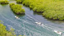 Jungle Tour . Lagoon, Mangrooves & Snorkel for Couples