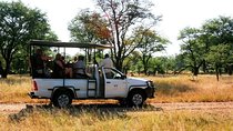 Livingstone Game Drive In The Mosi-Oa-Tunya National Park