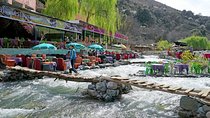 A Journey to Ourika Valley & Waterfall