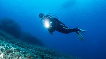Scuba Diving at night in Mirissa